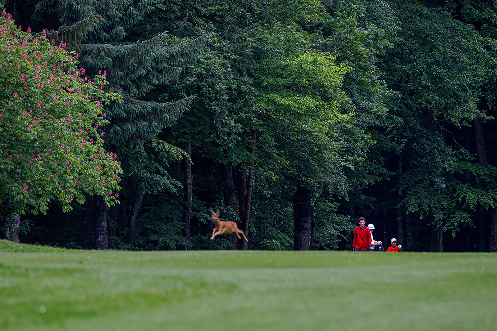 Derby des 3 Golfs 2021, La Bretesche