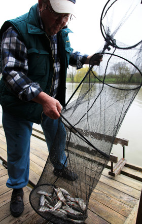 Ouverture de la pêche : le paradis en Mayenne