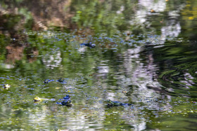 Derby des 3 Golfs 2021 - Golf de Guerande