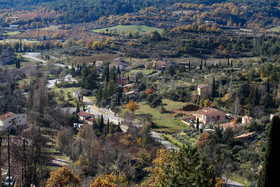Olive : de la cueillette à la fabrication de l'huile