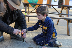Ouverture de la pêche : le paradis en Mayenne