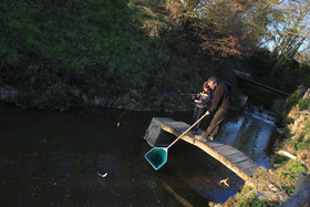 Ouverture de la pêche : le paradis en Mayenne