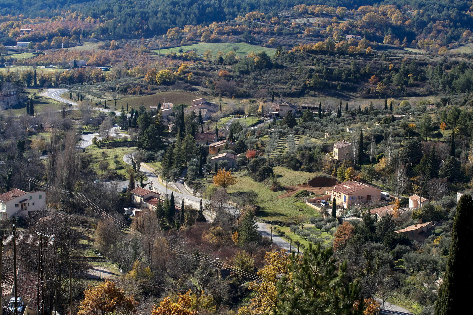 Olive : de la cueillette à la fabrication de l'huile