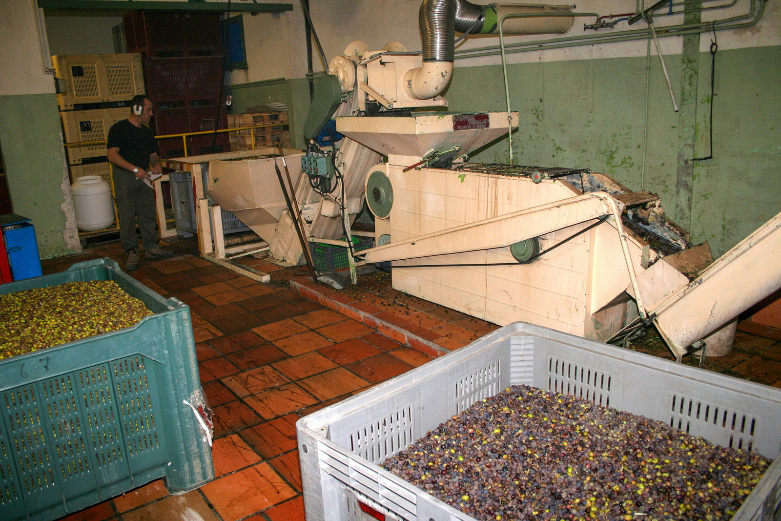 Olice : de la cueillette à la fabrication de l'huile