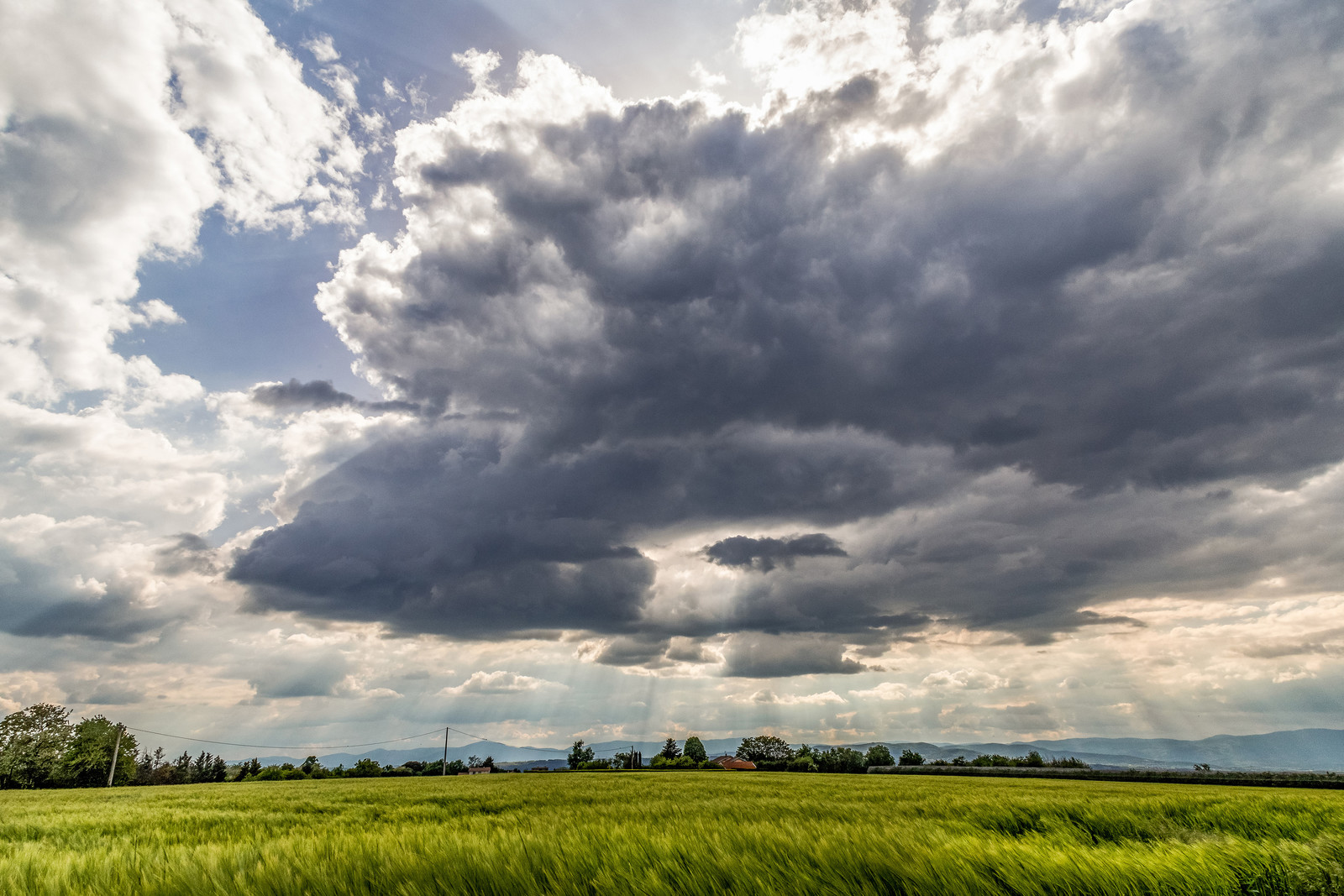 France, Epinouze, 2022 05 14. Au detour d un virage sur la commune d Epinouze, dans le Nord de la Drome, decouverte d un champs recouvert de coquelicots.
