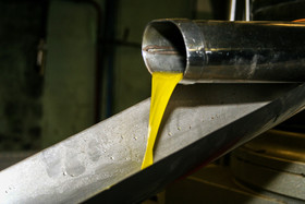 Olice : de la cueillette à la fabrication de l'huile