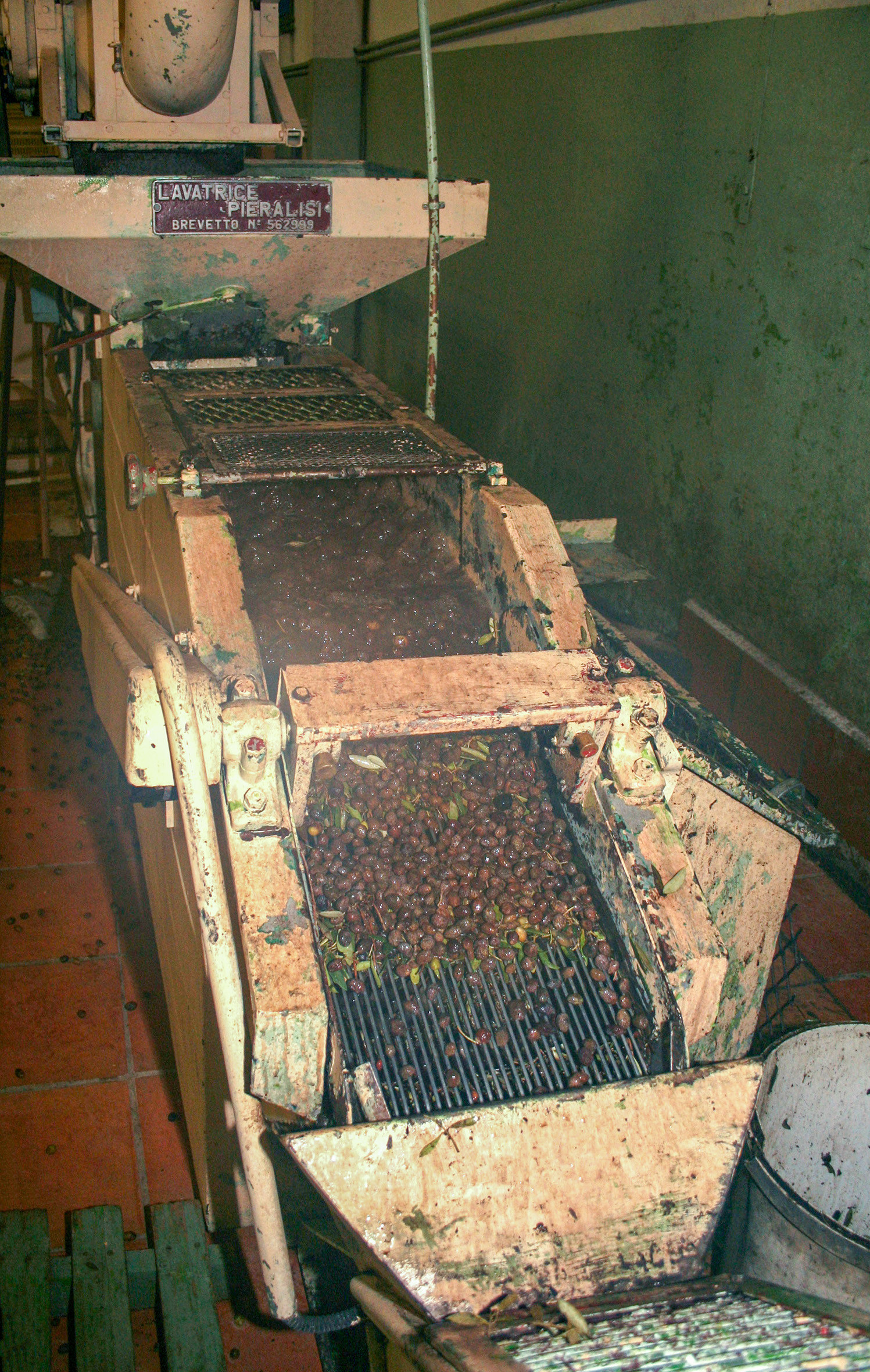 Olice : de la cueillette à la fabrication de l'huile