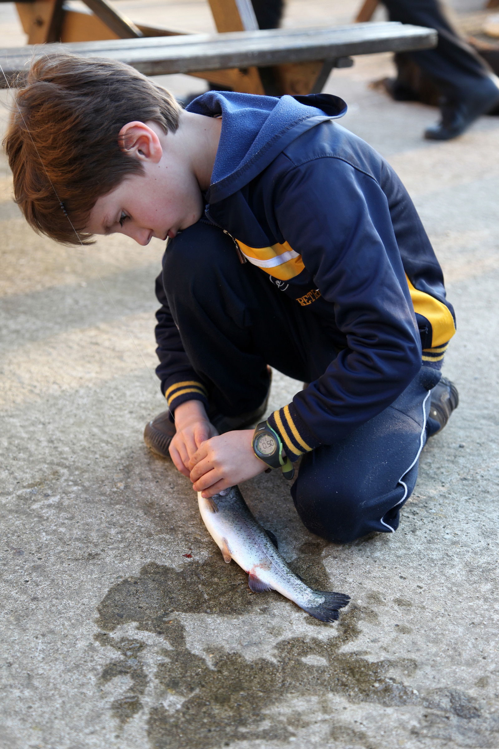 Ouverture de la pêche : le paradis en Mayenne